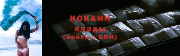 крисы Арсеньев