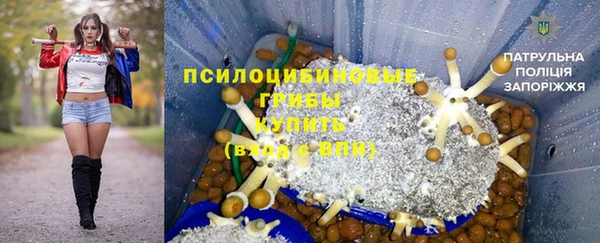 крисы Арсеньев