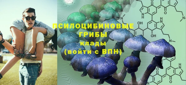 амф Аркадак