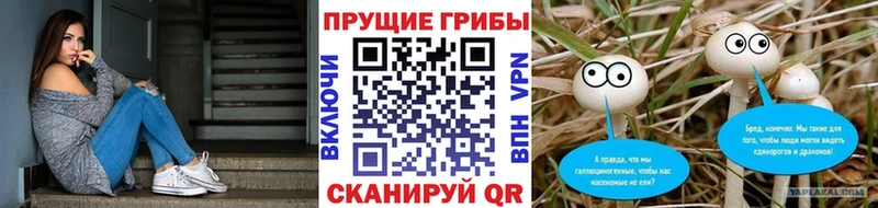 мега ССЫЛКА  Можга  Псилоцибиновые грибы ЛСД  как найти закладки 