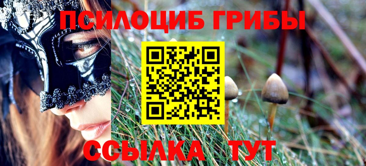 Галлюциногенные грибы Psilocybe Можга